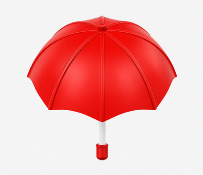 21 Inch (53.34cm) 2 Fold Auto-Open Umbrella