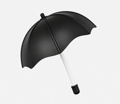 21 Inch (53.34cm) 2 Fold Auto-Open Umbrella